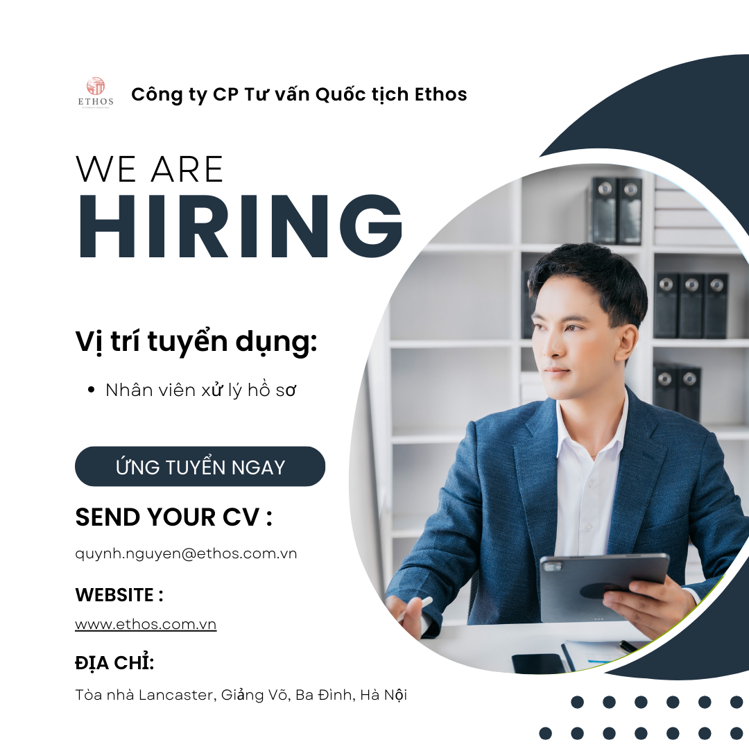 lĩnh vực hoạt động
